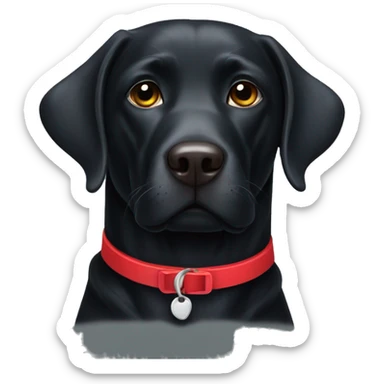 Black Labrador dog wearing red collar sticker