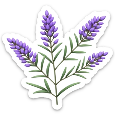 Lavender sticker