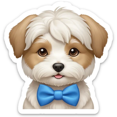 Small white havanese dog with a blue bow tie  sticker