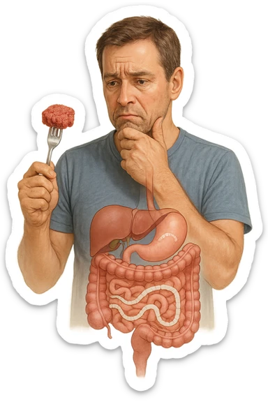 A realistic, high-quality medical illustration showing a concerned man in his early 40s holding a piece of raw beef tartare on a fork, looking at it with a worried expression. Behind him, a transparent overlay of his digestive system reveals the presence of Taenia saginata (beef tapeworm), depicted as a long, segmented white worm inside his intestines, symbolizing the infection. The environment is a kitchen with bright but neutral lighting, creating a serious educational tone. Subtle anatomical highlights and clean medical graphics convey the concept of parasite transmission through undercooked beef, emphasizing food safety and health awareness. sticker