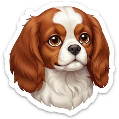 Cinematic Noble Blenheim Cavalier King Charles Spaniel Portrait Emoji, Poised and regal, with a graceful, medium build and a well-groomed Blenheim coat featuring rich chestnut and white markings, soulful brown eyes, Simplified yet sharp and sophisticated features, highly detailed, glowing with a soft, dignified glow, high shine, intelligent and affectionate, stylized with an air of elegance, focused and attentive, soft glowing outline, capturing the essence of a watchful and refined companion, so majestic it feels as though it could step out of the screen with effortless authority! sticker