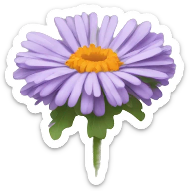Calendula lilac sticker