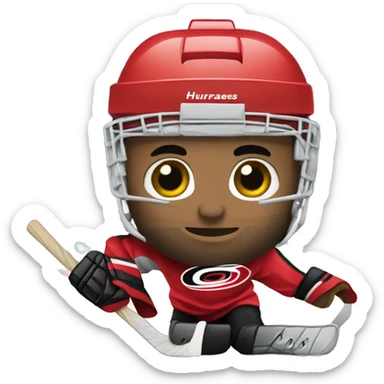 Carolina hurricanes hockey  sticker