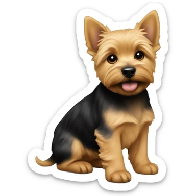 Close format on puppy of Norwich terrier is Black and Tan colour  sticker