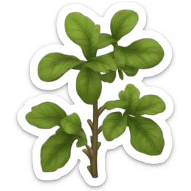 Codiaum variegatum sticker