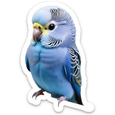 Cinematic Noble Blue Budgie Portrait Emoji, Poised and regal, with a petite, delicate build and a smooth, well-groomed fur of vibrant blue feathers, deep-set soulful dark eyes, Simplified yet sharp and sophisticated features, highly detailed, glowing with a soft, dignified glow, high shine, intelligent and charming, stylized with an air of elegance, focused and attentive, soft glowing outline, capturing the essence of a watchful and confident avian companion, so majestic it feels as though it could flutter out of the screen with effortless authority! sticker