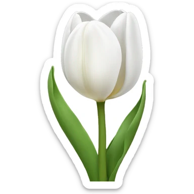 white tulip sticker