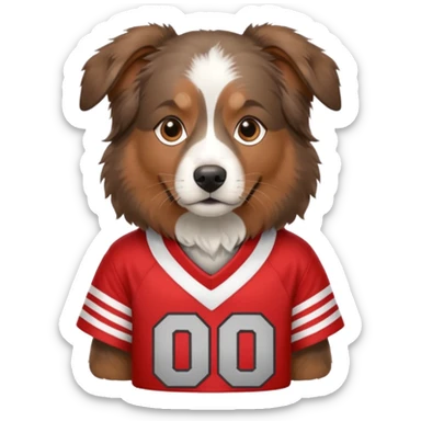 Brown Australian shepherd dog wearing an Ohio state jersey sticker