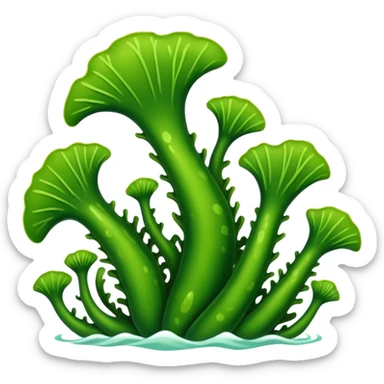algues marine vertes sticker