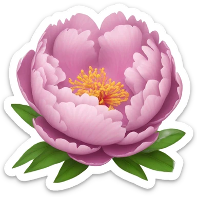 Peony flowers sticker