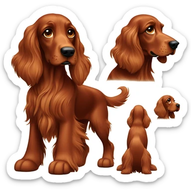 Irish setter field strain sticker
