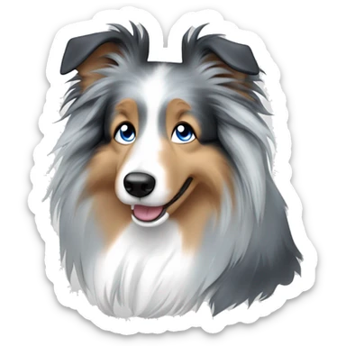 blue merle Sheltie girl dog with blue eyes sticker