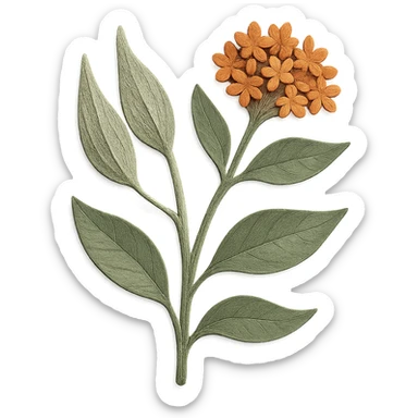 milkweed plant with seed pods, delicate paper layers, realistic textures, expressive leaves and flowers, paper craft style sticker