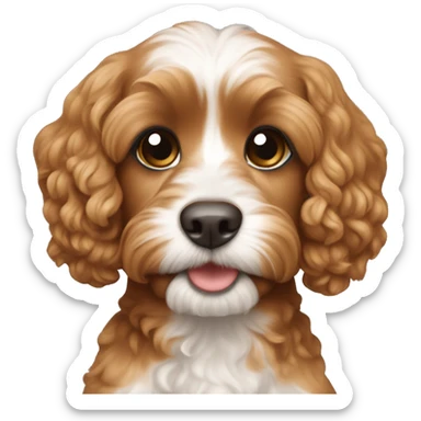 Cavapoo caramel color sticker