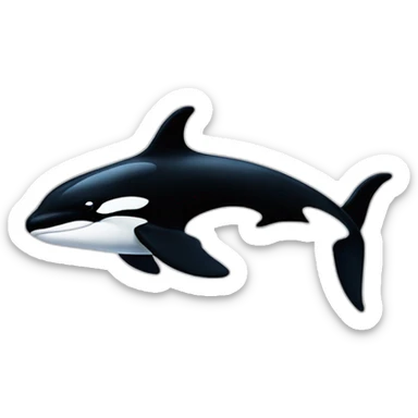 killer whale orca sticker