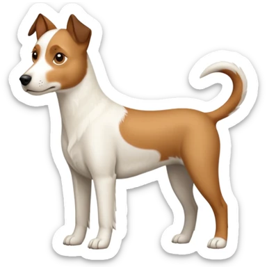 a full body large white parson russell looking dog the size of a kelpie with light brown ears and a light brown patch on one eye and a large snout sticker