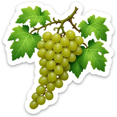 Grape vine sticker