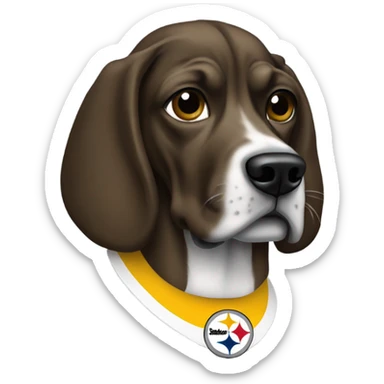 Snoop dog with Steeler helmet sticker