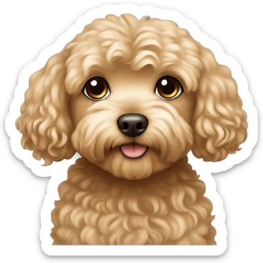 Brown dog maltipoo with girl, girl has a blonde hair sticker