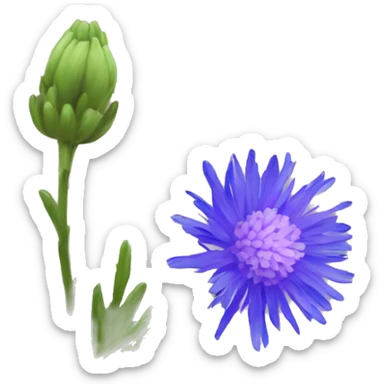 bachelor's button flower sticker