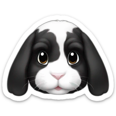 Black Holland lop rabbit sticker
