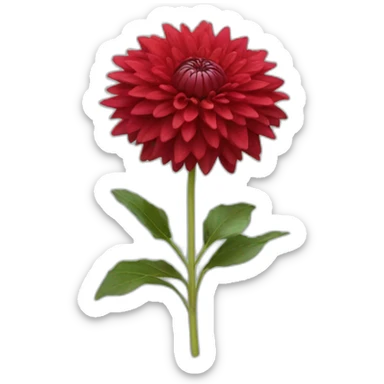 red dahlia sticker
