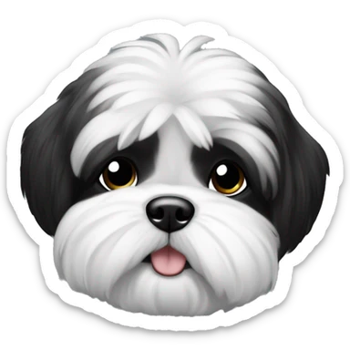 Hund Shi tzu schwarz weiß  sticker