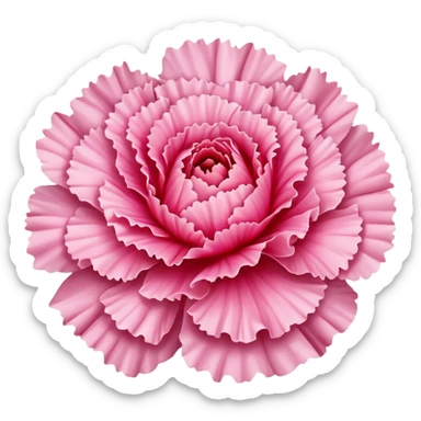 Small Pink Carnation flower sticker