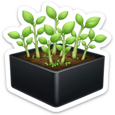 aromatic sprouts thin black box sticker