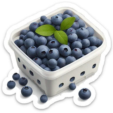 small blueberries in plastic container organic farmer’s market realistic soft textures sticker
