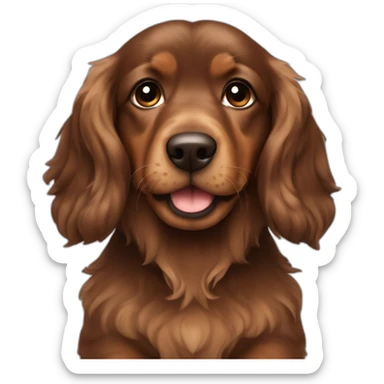 dark brown chubby puppy long hair teckel called zeus sticker