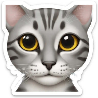 Siam katze blaue augen  sticker