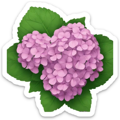 hydrangea sticker