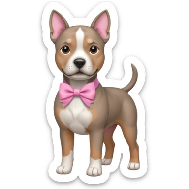 Grey amstaff with a pink bow sticker