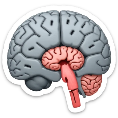 Brain showing hole sticker