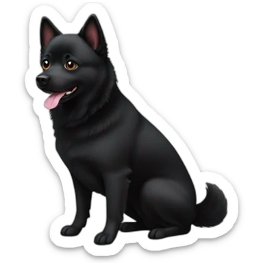 schipperke sticker