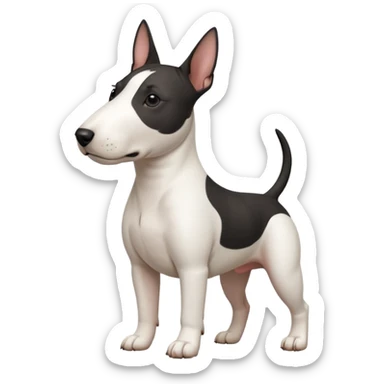 bull terrier with black head and body and a white chest sticker