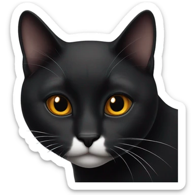 jet black cat with amber eyes with a white patch on his throat sticker