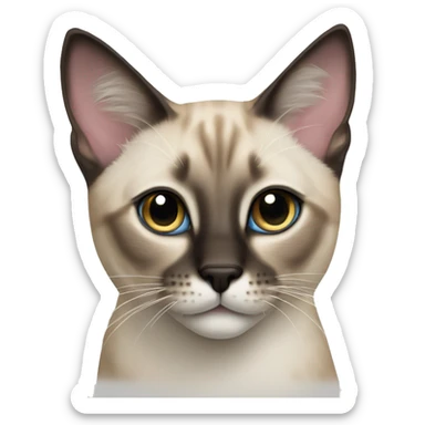 lynxpoint siamese cat sticker