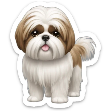 Dog Shih Tzu with long wool full-height  sticker