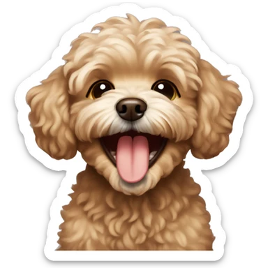 brown maltipoo laughing sticker