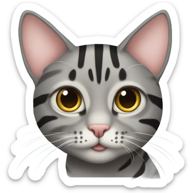 Gray tabby cat wearing a cancer ribbon sticker