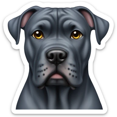 Blue brindle cane corso with cropped ears sticker