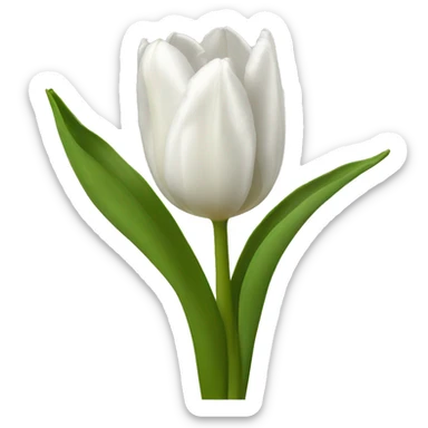 Tulipe white sticker