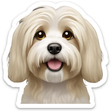 a dirty blonde havanese dog sticker