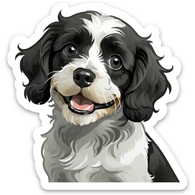 Golden cavapoo being sassy with a happy black and white smaller cavapoo sticker