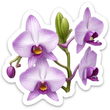 orchid sticker