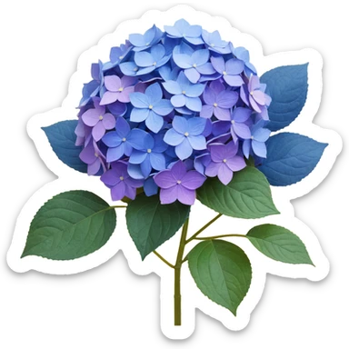 Traditional Japanese hydrangea (ajisai) flower with refined aesthetic, subtle color transitions from blue to purple, gentle raindrops, and washi paper texture background sticker
