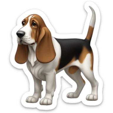 Dog Canine Basset Hound full body, realistic, minimalistic sticker