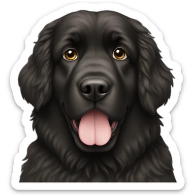 newfoundland sticker